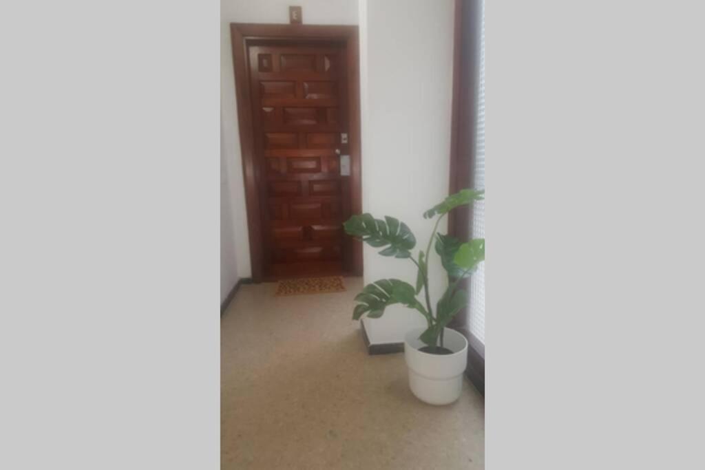 Apartmán Victoria 51. Las Palmas de Gran Canaria Exteriér fotografie